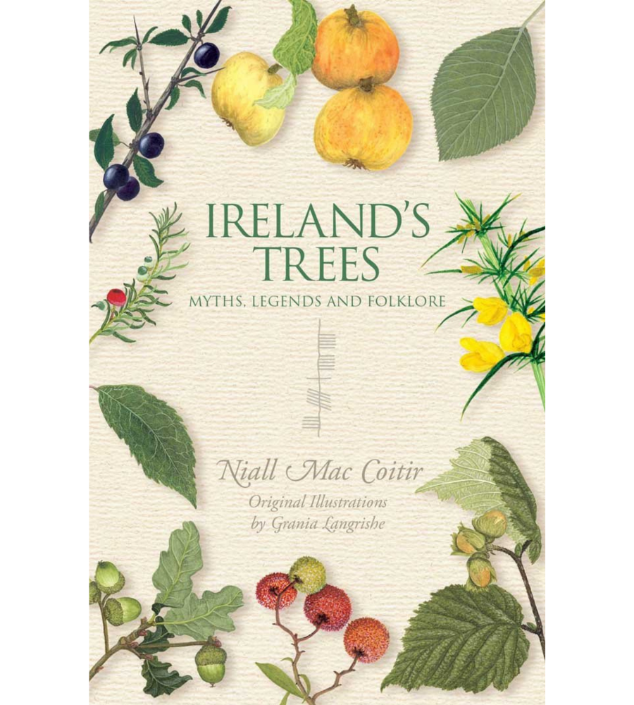 Ireland’s Trees
