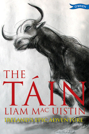 The Táin by Liam Mac Uistin | Brú na Bóinn Giftstore